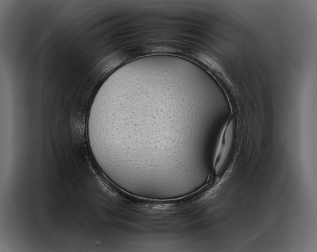 X0000086890841200705071221