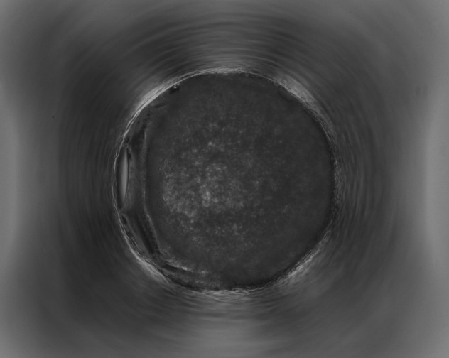 X0000086890842200705071221