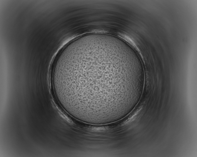 X0000086890843200705071221