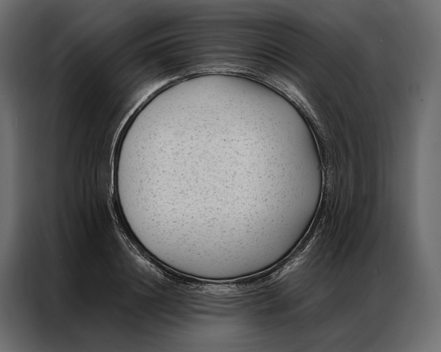 X0000086890844200705071221