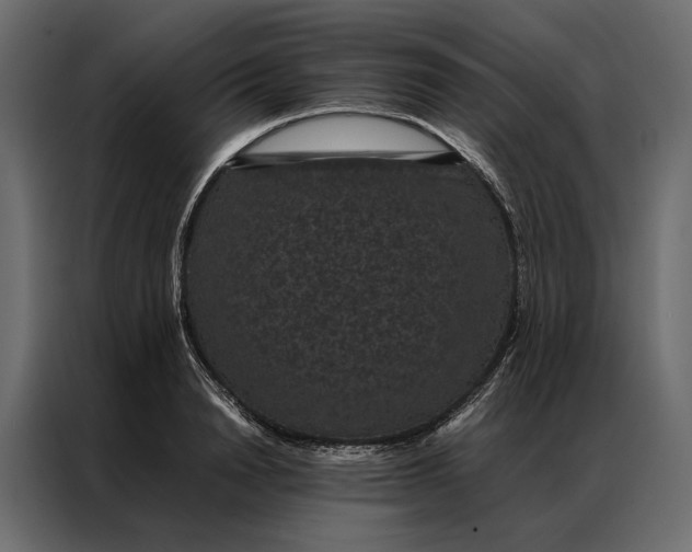 X0000086890846200705071221