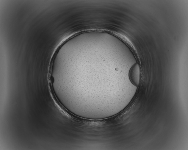 X0000086890847200705071221