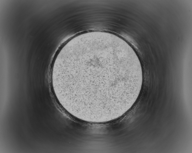 X0000086890848200705071221