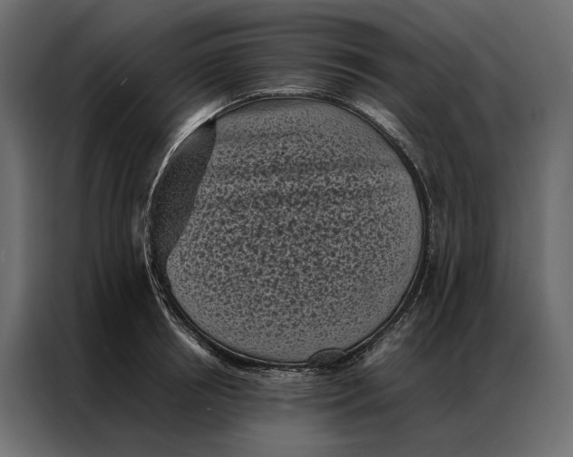 X0000086890850200705071221