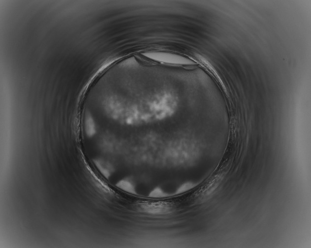 X0000086890851200705071221