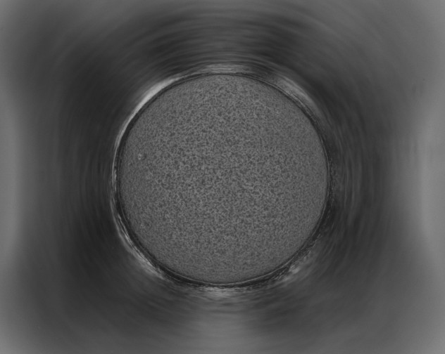 X0000086890852200705071221