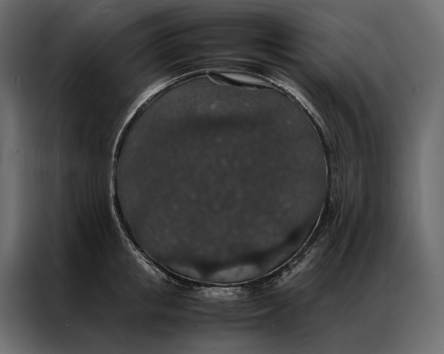 X0000086890853200705071221