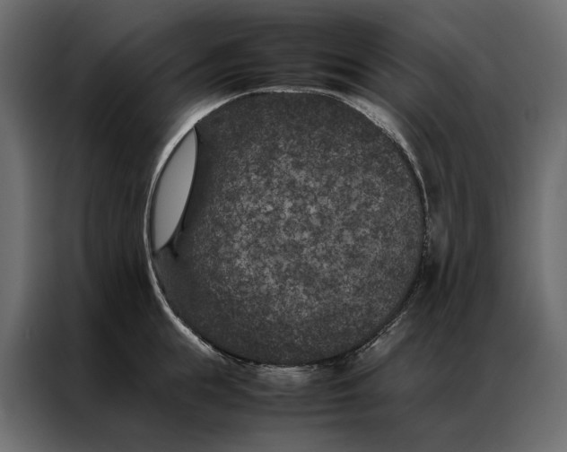 X0000086890855200705071221