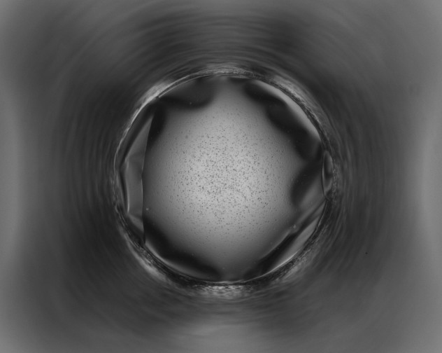 X0000086890858200705071221