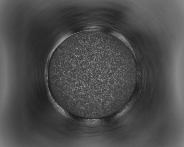 X0000086890859200705071221