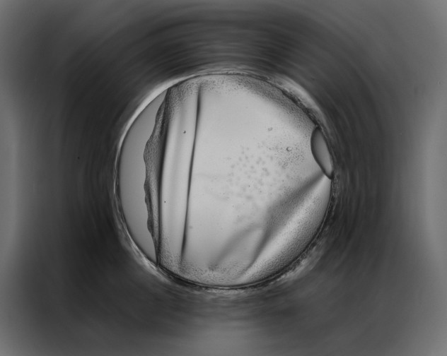 X0000086890860200705071221