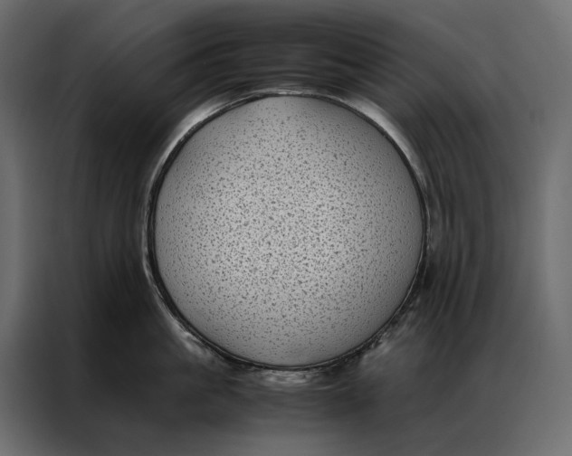 X0000086890861200705071221