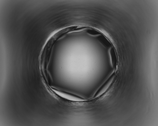 X0000086890862200705071221