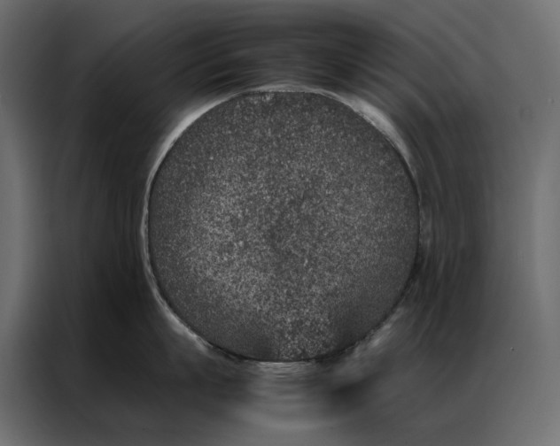 X0000086890863200705071221