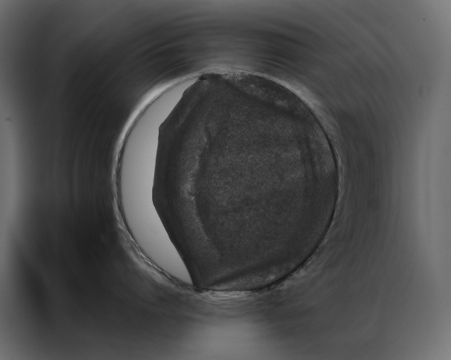 X0000086890864200705071221