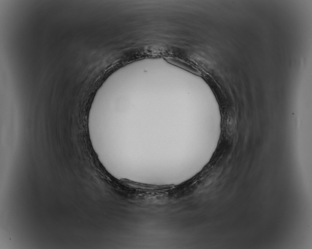 X0000086890865200705071221