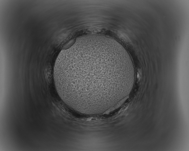 X0000086890867200705071221