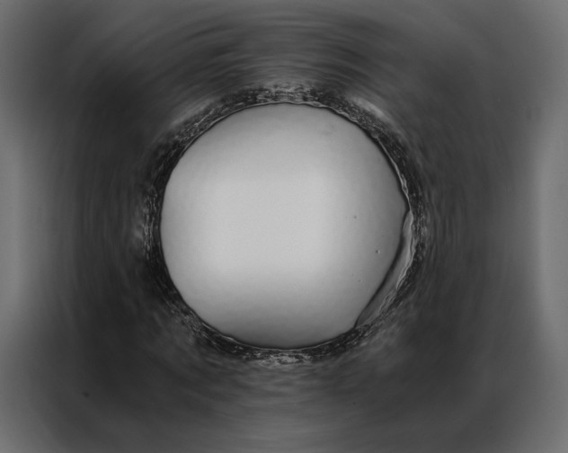 X0000086890869200705071221