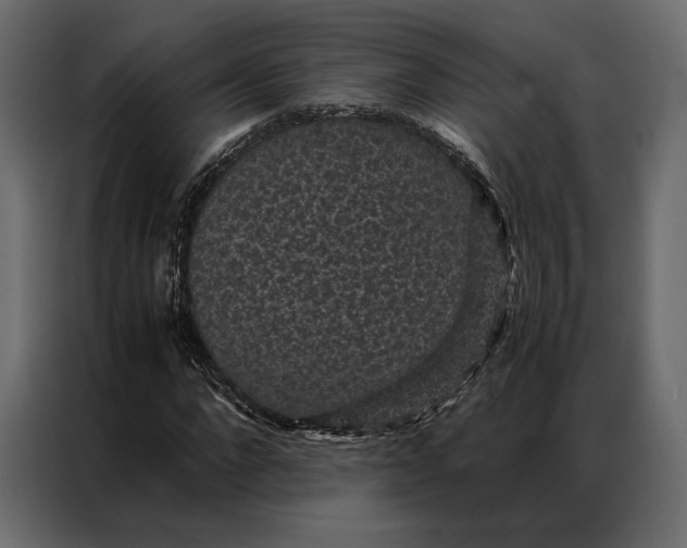 X0000086890872200705071221