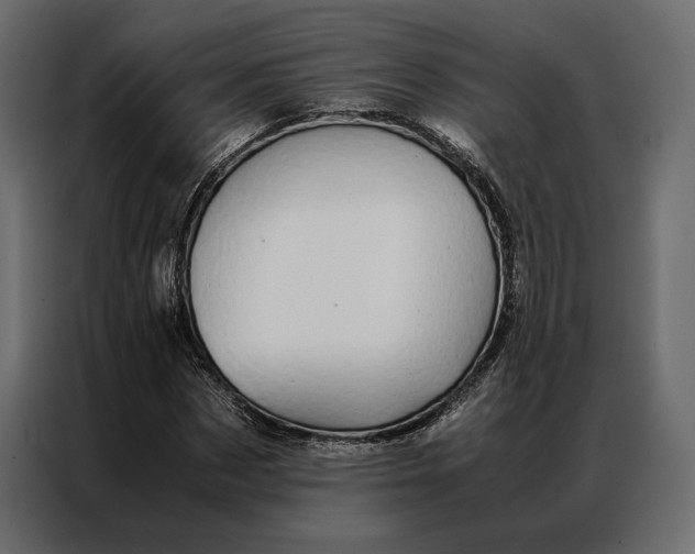 X0000086890873200705071221