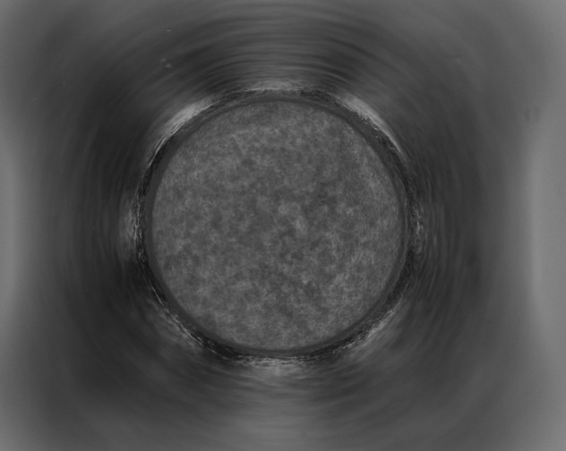 X0000086890874200705071221