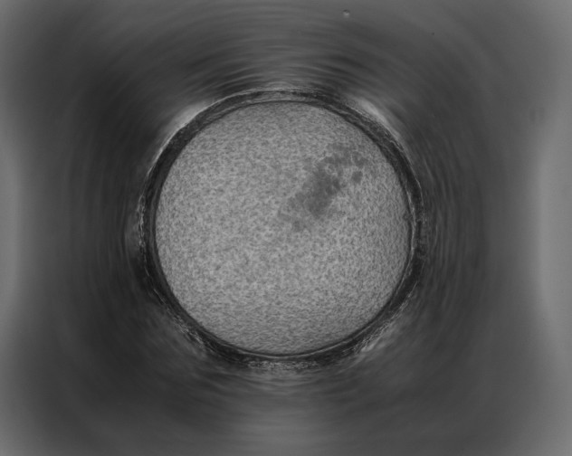 X0000086890875200705071221