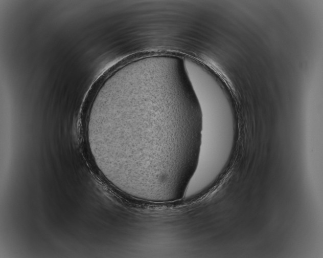 X0000086890876200705071221