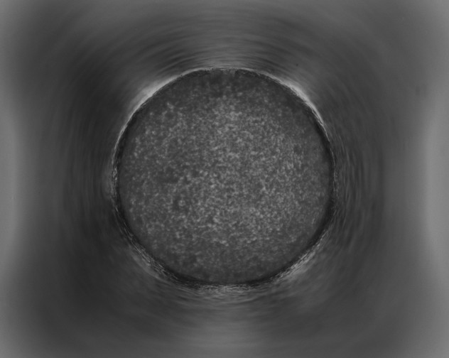 X0000086890879200705071221