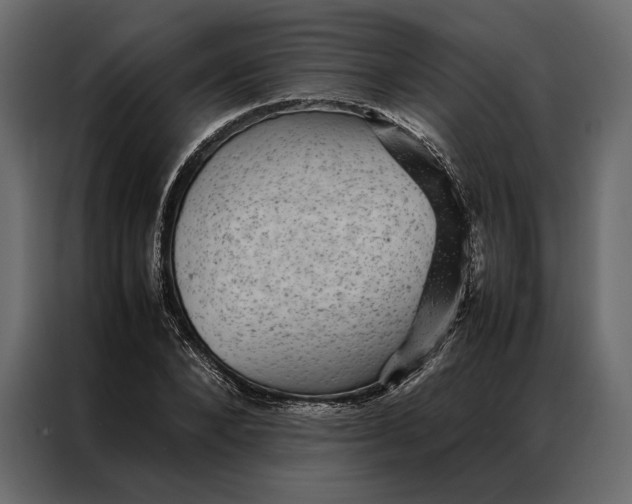 X0000086890880200705071221