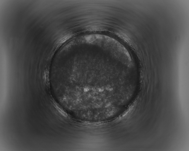 X0000086890881200705071221