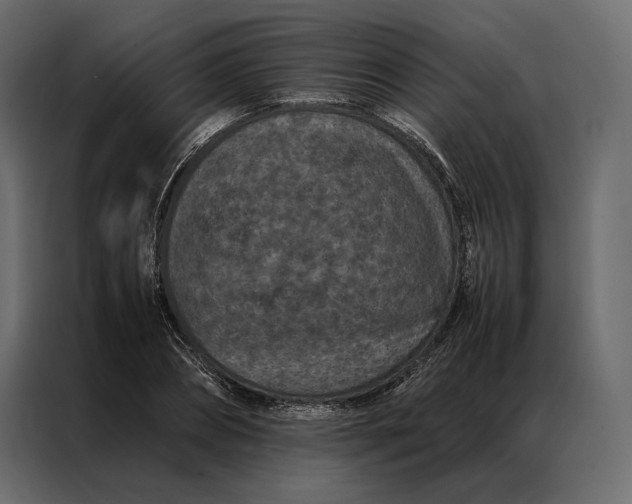 X0000086890882200705071221