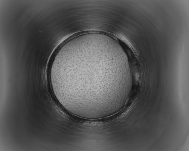 X0000086890884200705071220