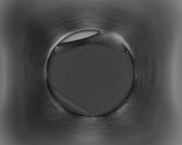 X0000086890885200705071220