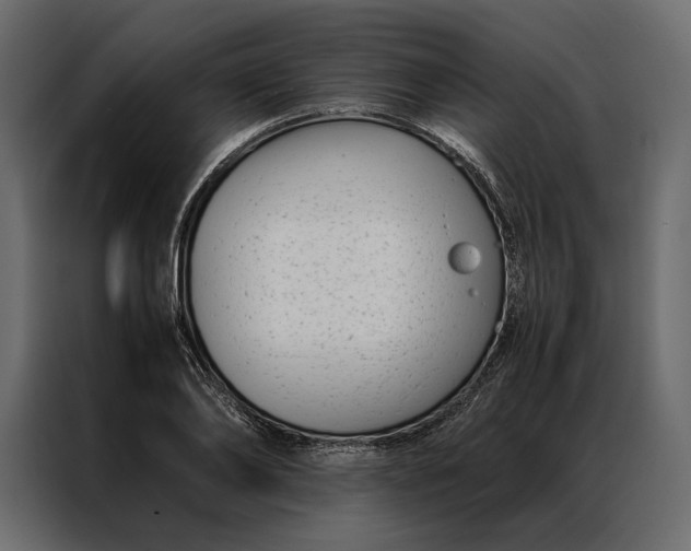 X0000086890886200705071220