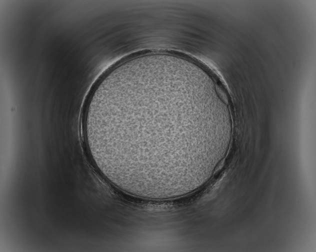 X0000086890887200705071220