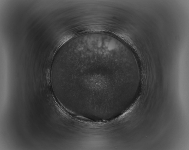 X0000086890889200705071220