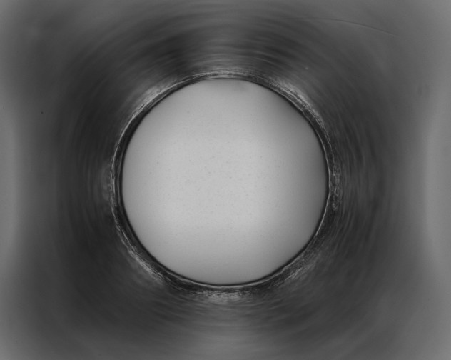 X0000086890890200705071220