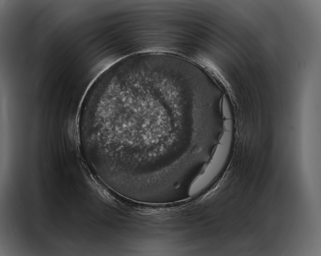 X0000086890892200705071220