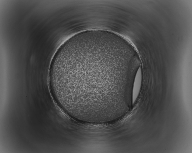 X0000086890895200705071220