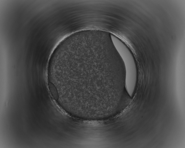 X0000086890896200705071220