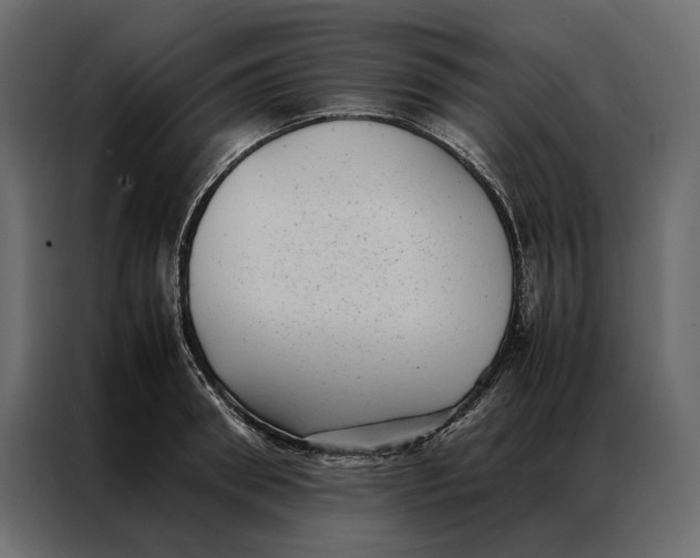 X0000086890898200705071220