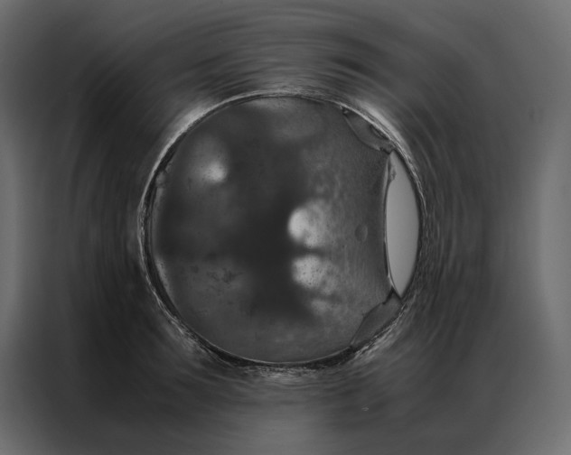 X0000086890899200705071220