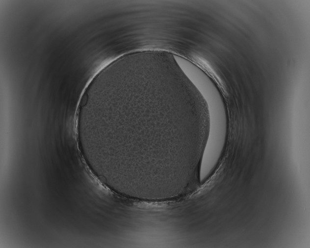 X0000086890900200705071220