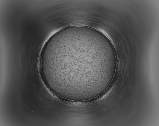 X0000086890901200705071220