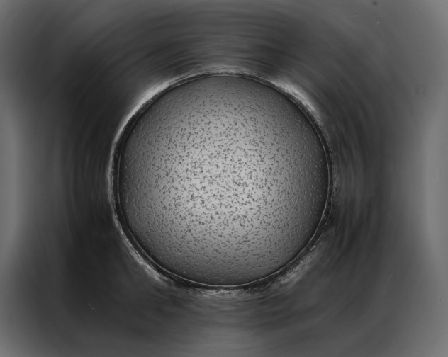 X0000086890902200705071220