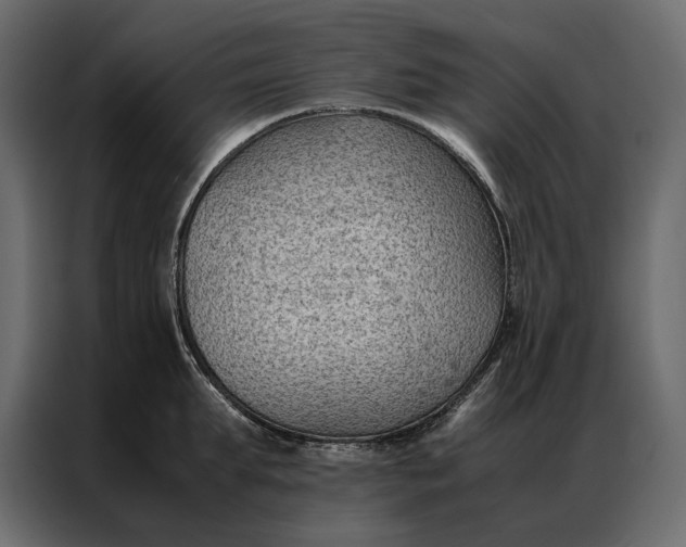 X0000086890903200705071220