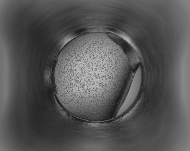 X0000086890905200705071220