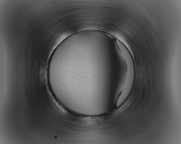 X0000086890906200705071220