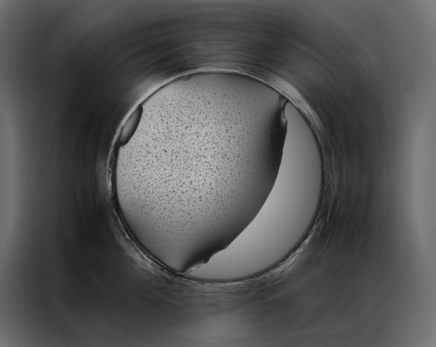 X0000086890908200705071220