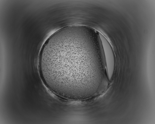 X0000086890909200705071220